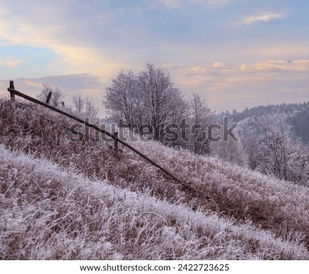 Winter coming. Picturesque foggy and moody pre sunrise scene in late autumn mountain countryside with hoarfrost on grasses, trees, slopes. Ukraine, Carpathian Mountains.