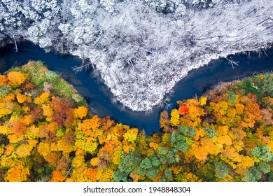 Der Winter kommt. Schneebedeckter und bunter Wald. Winter und Herbst an einem Ort. Luftbild der Natur in Polen