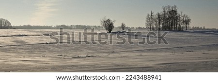 Winter countryside  landscape.  Snowy landscape. Snowy winter. White snow on te fields. Forest with snow. Panoramic landscape of winter.