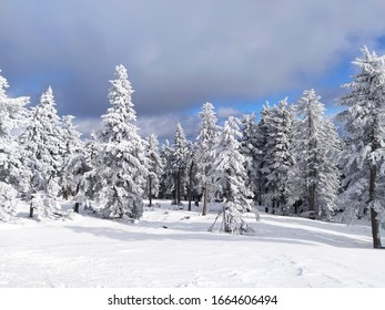 Winter Countryside In The Ore Mountains