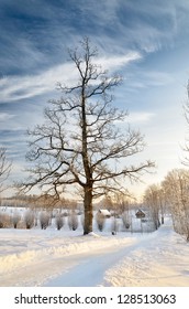 winter countyside view