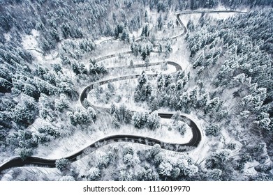 Winter Curved Winding Road In The Forest Covered In Snow