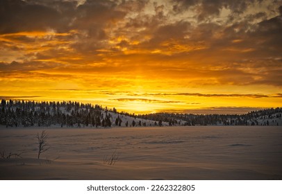 Winter dawn in a snowy field. Winter sunrise sky. Winter snow scene at dawn. Beautiful sunrise in winter snow landscape - Shutterstock ID 2262322805