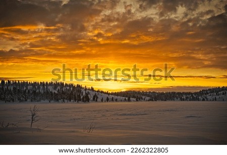 Winter dawn in a snowy field. Winter sunrise sky. Winter snow scene at dawn. Beautiful sunrise in winter snow landscape