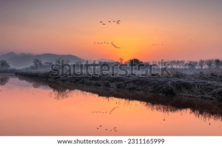 Winter and dawn view of a group of wild goose flying over the water against light fog at Hwapocheon Wetland Ecological Park of Twerae-ri near Gimhae-si, South Korea
