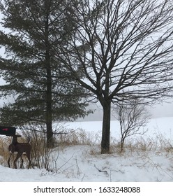 Winter  Day In Cedarburg, WI