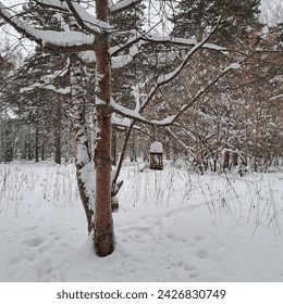 winter day frozen landscape outdoor photo image with trees and bushes white fresh snow covered forest road in the old city park cloudy day