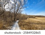 Winter day landscape of the Cross Plains Segment of the Ice Age Trail passing by a field covered in light snow, near Cross Plains, Wisconsin.