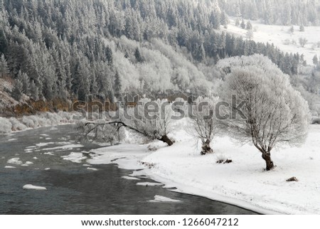 Winter day on mures valley,romania Imagine de stoc © 