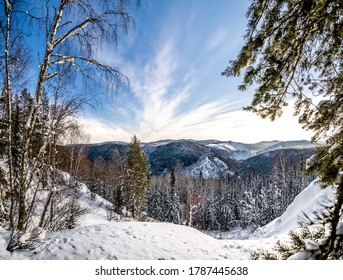 winter day in the Siberian taiga - Shutterstock ID 1787445638