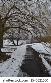 Winter In Delawere Park, Buffalo NY