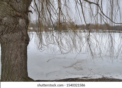 Winter In Delawere Park, Buffalo NY