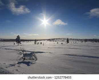 Winter Desert, Saariselkä, Lapland