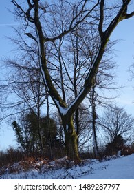 Winter At The Devils Punch Bowl