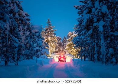 Winter Driving - Lights Of Car And Winter Road In Dark Night Forest, Big Pine Trees Covered Snow