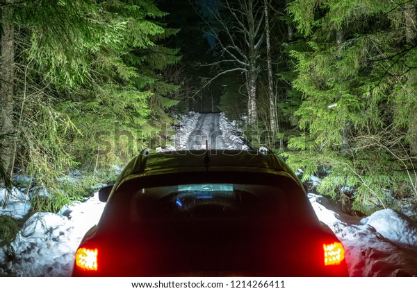Winter Driving - Lights of car\
and winter road in dark night forest, big pine trees covered\
snow