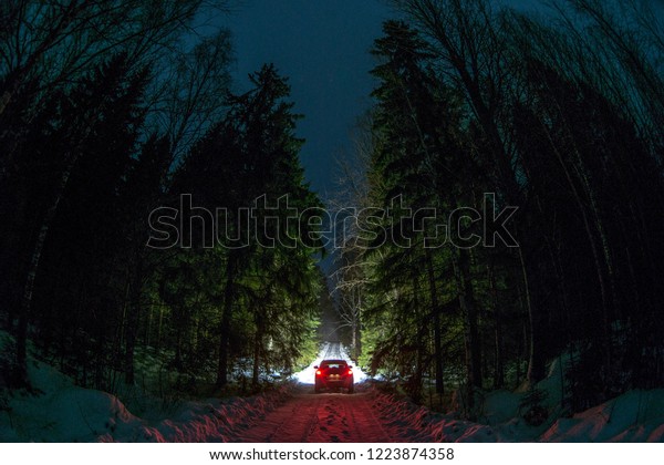 Winter Driving - Lights of car\
and winter road in dark night forest, big pine trees covered\
snow