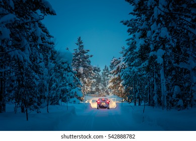 Winter Driving At Night - Lights Of Car And Winter Snowy Road In Dark Forest, Big Fir Trees Covered Snow