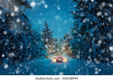 Winter Driving at snowfall night - Lights of car and winter snowy road in dark forest, big fir trees covered snow