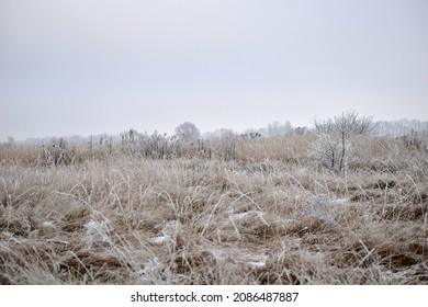 Winter. The dry yellow grass that remained on the field was covered with fallen frost.