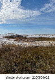 Winter Dune Grass On Florida White Sand Beach