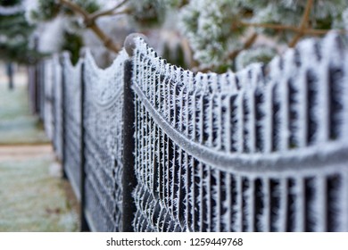 In the winter, early in the morning, a frost on a metal fence.- Image - Powered by Shutterstock