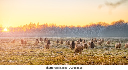 Winter In East Frisia