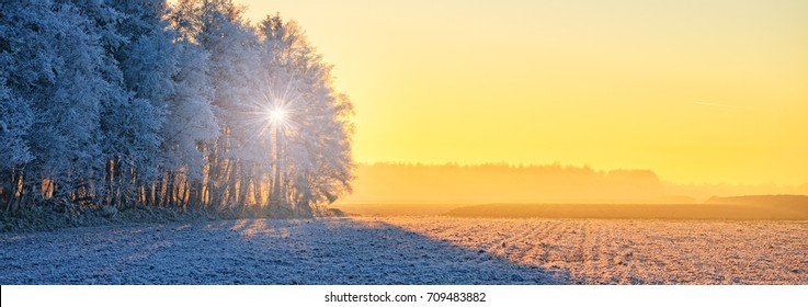 Winter In East Frisia