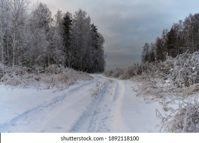 雪 森 Paint の写真素材 画像 写真 Shutterstock