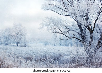 Winter Evening Landscape With Falling Snow