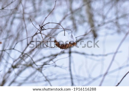 Similar – Image, Stock Photo touché Environment Nature