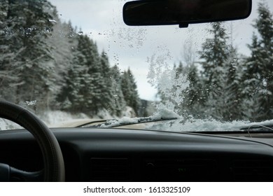 Winter Family Roadtrip To Kelowna, BC.