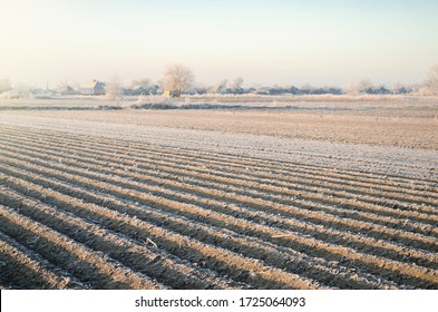 Winter Farm Field. Agriculture And Agribusiness. Preparatory Agricultural Work For Spring. Night Frosts Are A Threat To The First Sprouts Of The Crop. Growing Vegetables In Agricultural Industry.