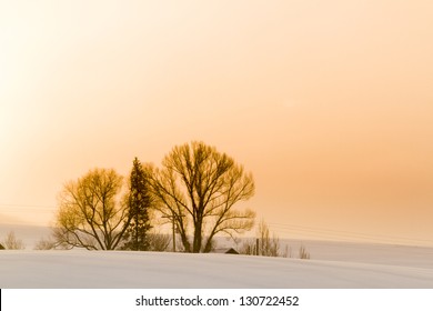 Winter Farm In Steamboat Springs, Colorado.