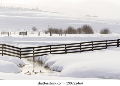 Winter Farm In Steamboat Springs, Colorado.