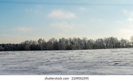 Winter farmland scenery landscape under snow with trees on background. Winter landscape with snow covered countryside. Space for text.