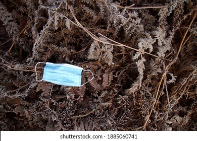 Winter Ferns - Covid-19 Mask From Above Dropped As Litter On A Forest Floor - PPE Face Covering Environment Issue