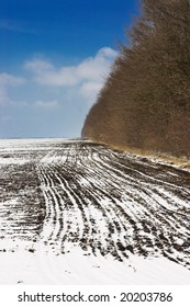 winter field