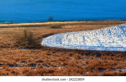 Winter Field