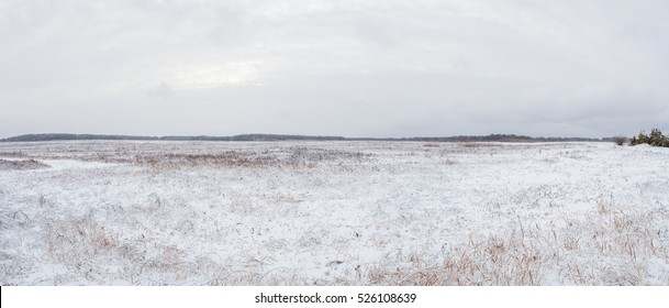 Winter Field