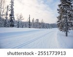 Winter Finland. Cleared wide ski track in snowy forest for walks and competitions