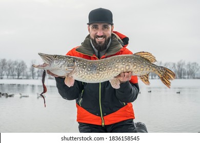 Winter fishing. Happy fisherman with pike fish at snowy lake - Shutterstock ID 1836158545