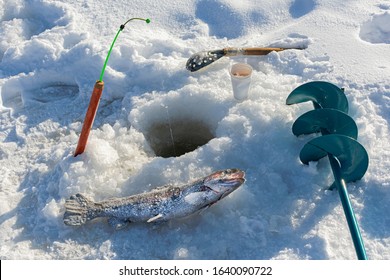 Winter Fishing For Rainbow Trout