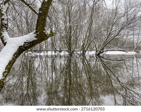 Winter Flood in Forest with Bare Tree Reflections in Water. High quality photo