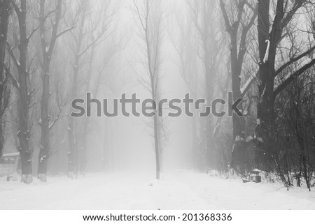 Similar – Foto Bild Schwarzwälder Winterlandschaft