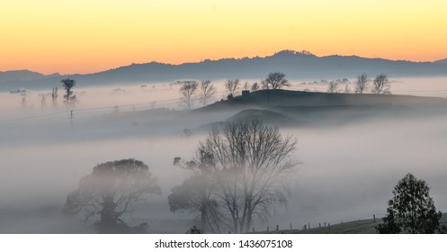 A Winter, Foggy Sunrise Over Countryside In Beautiful, Scenic New Zealand. Landscape, Waikato, NZ