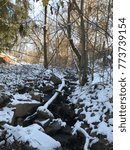 Winter in the forest