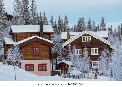 Winter forest