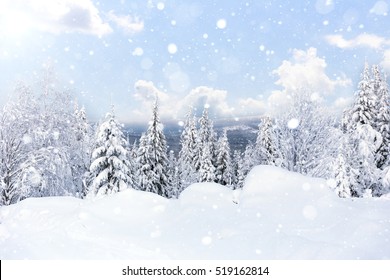Winter forest against mountains.