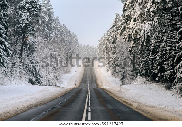Winter forest and Auto\
road